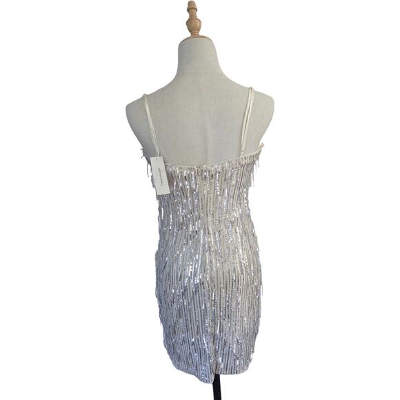 NWT Francesca's Champagne Sleeveless Sheer Net Fringe Sequin Party Club Dress S - Picture 3 of 11